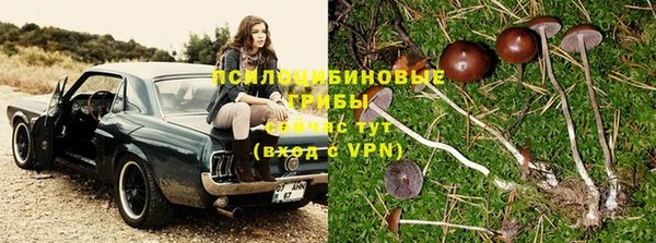 дурь Семёнов