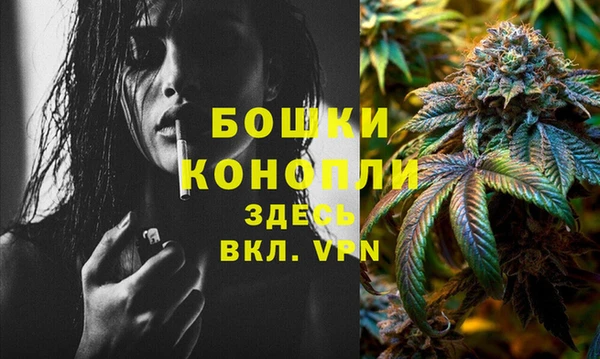 мяу мяу мука Сафоново