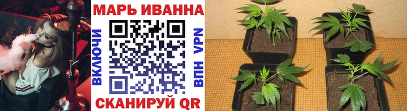 OMG зеркало Сорск Бошки Шишки тримм